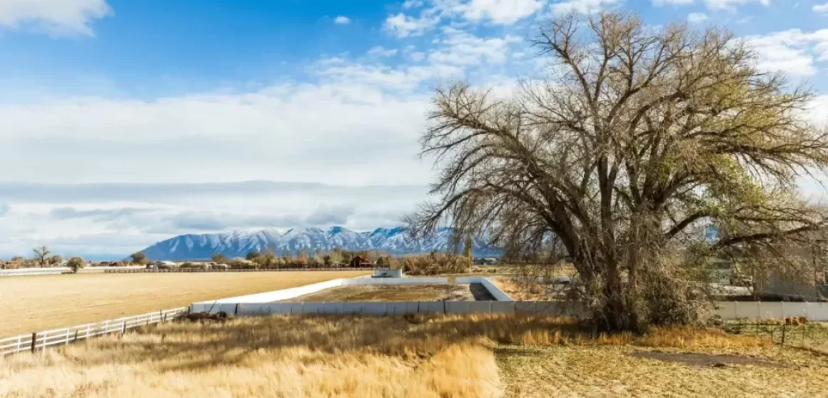 Grantsville Interwest Insulation Grantsville Interwest Insulation