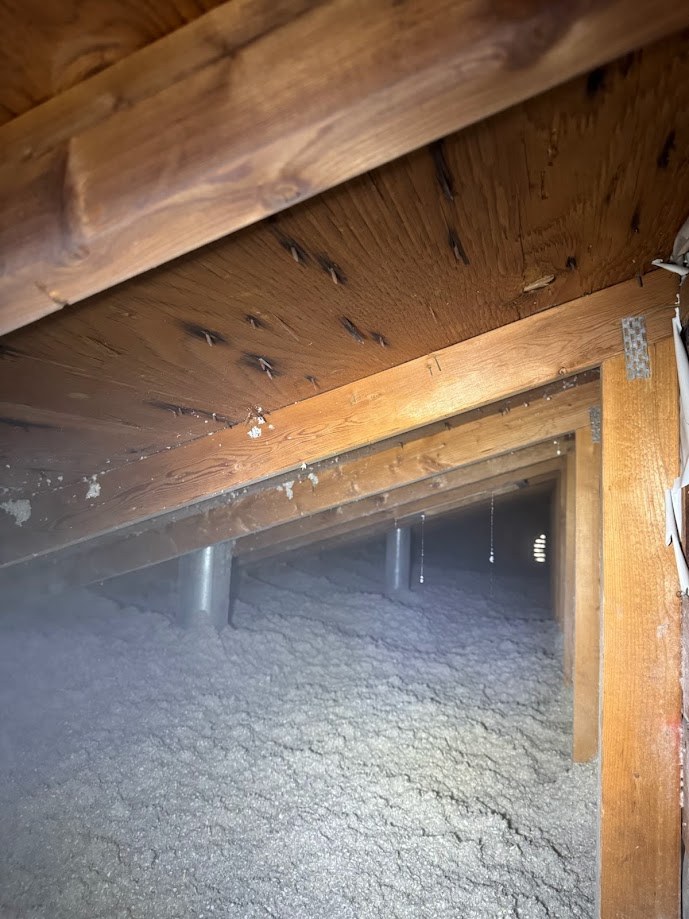 Cellulose insulation covering the floor of a Pleasant Grove attic
